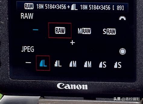 10分钟看懂 照片高级处理工具Camera Raw实例：调整曝光 - 知乎