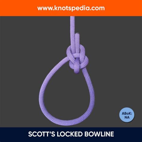 Image result for Handcuff Knot Tutorial