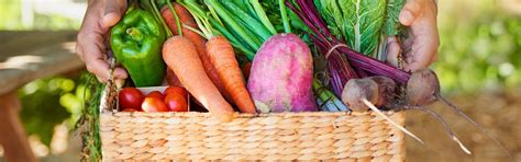 Cómo evitar el desperdicio de alimentos | Grundig