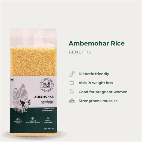 Ambemohar Rice Wiki – OOO Farms