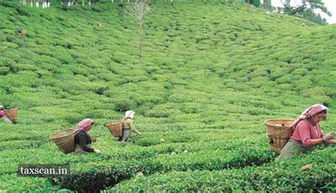 West Bengal Budget 2020 proposes to waive Agricultural Income Tax to ...