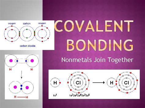 Image result for Covalent Bond Types