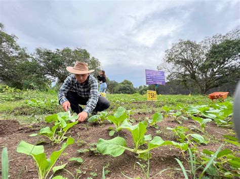 Agriculture 的图像结果