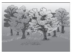 NCERT Solutions for Class 9 Geography Chapter 5 Natural Vegetation and ...