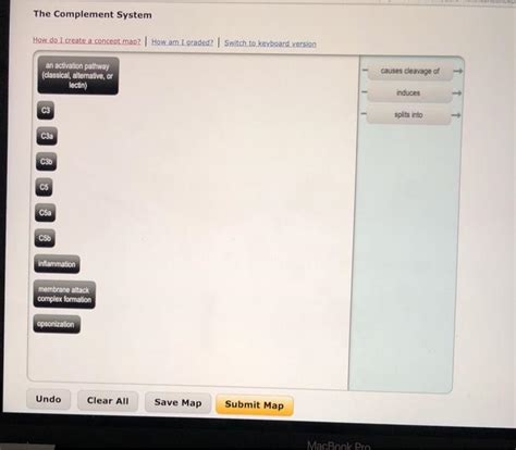 Image result for The Complement System Concept Map