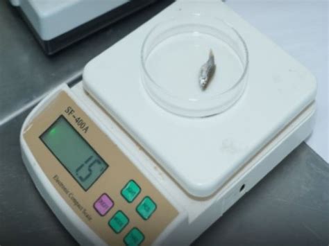 Centralized Instrumentation Facility - CT University