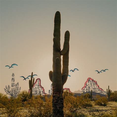 Dreamy Draw Music Festival 2023: Line-Up, Dates & Tickets | Holler