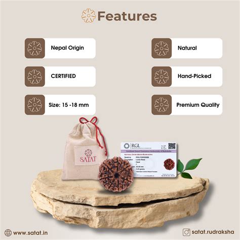 Original saat seven 7 Mukhi face Rudraksha Bead | Nepalese Origin | 18 ...