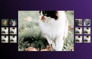 Image result for Simple Photo Gallery HTML Code