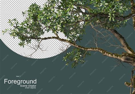 Foreground branches of large trees | Premium PSD