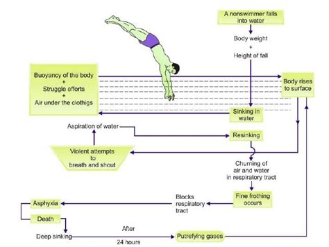 Violent Asphyxial Death - 3 Chapter Notes - Forensic Medicine and ...