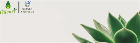 Nxtgen Ayurveda Niger Seeds Raw | Pack of 2 | 200g Each | Ramtil ...