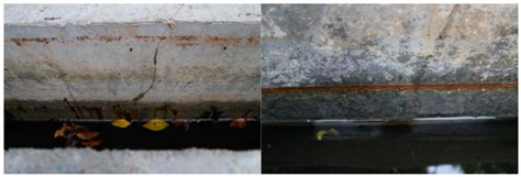 Study on the Flexural Performance of Hybrid-Reinforced Concrete Beams ...