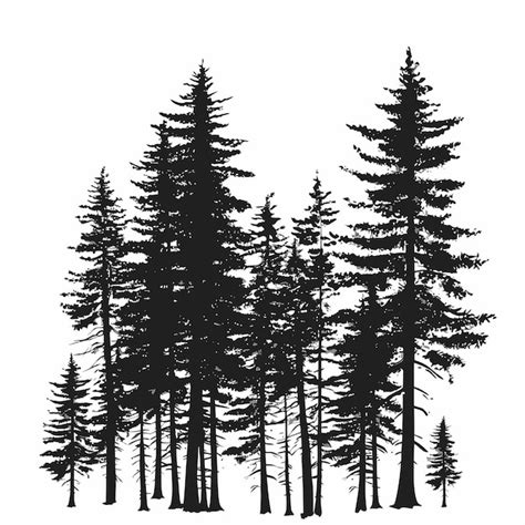 A drawing of a forest with the words quot pine trees quot on it ...