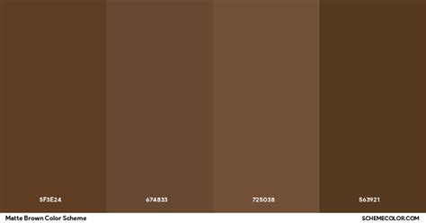 Image result for Computer Application Book Unimax Publisher Class 12th Class PSEB Pattern