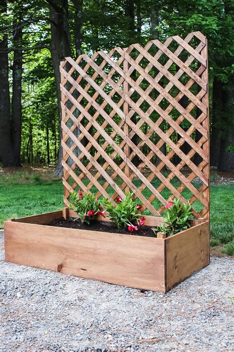 Raised Garden Bed With Trellis Diy at Kate Gates blog