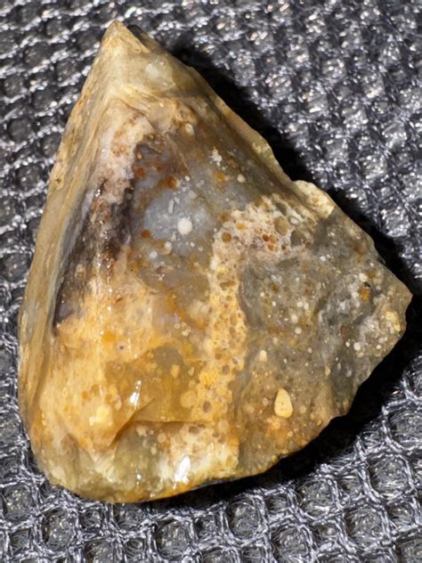 Oolitic chert/chalcedony/agate? Found in CO : r/Agates