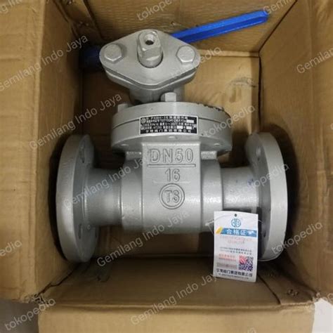 Jual Blowdown Valve 1" Inch PN16 DN25 WCB - Jakarta Barat - Gemilang ...