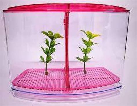 Fish Tank - Buy Fish Tank online at Best Prices in India | Flipkart.com