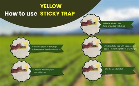 Chipku A5 Yellow Sticky Trap for Insects Pack of 50 Sheets| for Garden ...