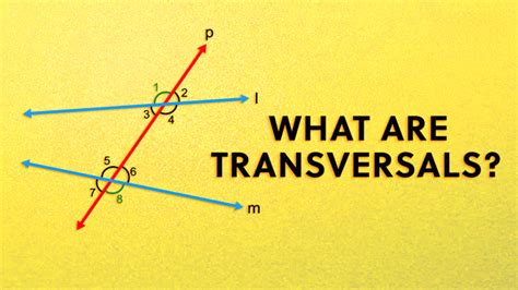 Image result for Types of Transversal Angles