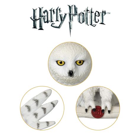 The Noble Collection Harry Potter Hedwig Owl Post Wall Décor: Buy ...
