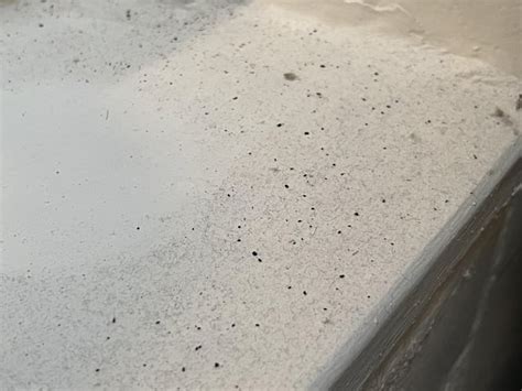 Image result for Empty Shell Like Droppings