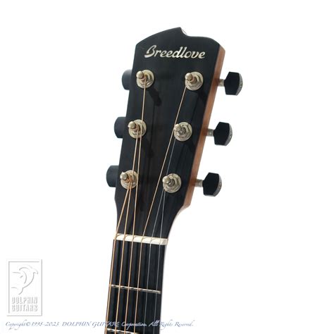 Breedlove Premier Parlor - ドルフィンギターズ