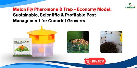 Melon Fly Pheromone & Trap – Economy Model: Sustainable, Scientific ...