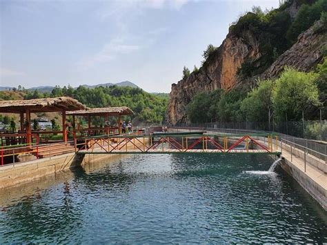 TROFTA BOROVE - Restaurant Reviews, Phone Number & Photos - Tripadvisor