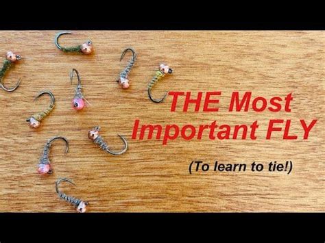 Basic Fly Tying Patterns 的图像结果