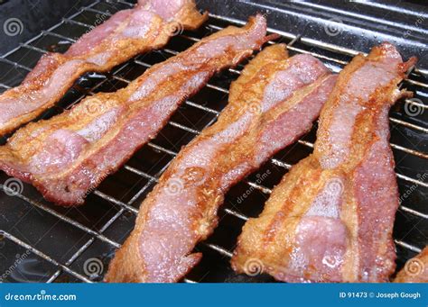 Grilled Bacon stock image. Image of lard, grilled, porco - 91473