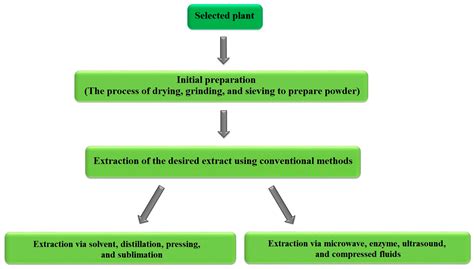 The Use of Plant Extracts as Green Corrosion Inhibitors: A Review