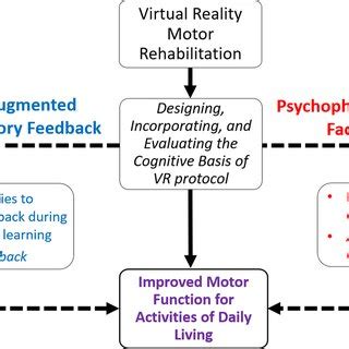 Augmented Feedback Types 的图像结果