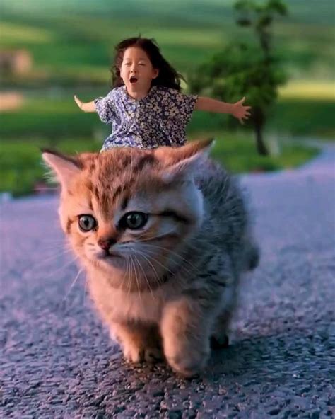 Amazing Maker 的图像结果