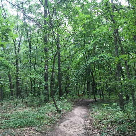 CASCADE PEACE PARK (2026) All You Need to Know BEFORE You Go (with ...