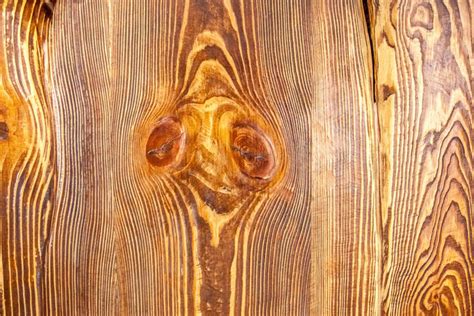 Image result for Shellac vs Polyurethane