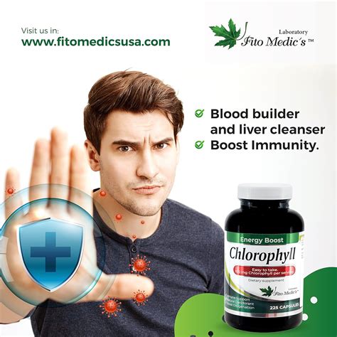 Buy Chlorophyll Pure Extract High Power Capsules, 100mg Energy Boost ...
