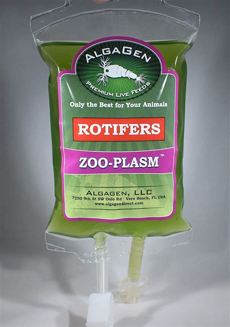 Buy AlgaGen Zoo-Plasm Rotifers Online India | Ubuy