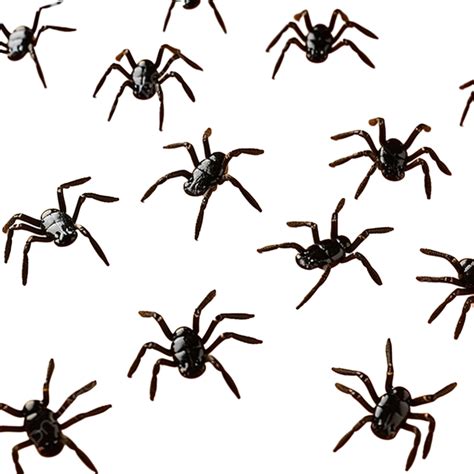 Halloween Decorations Different Spiders On Orange Surface, Spider ...