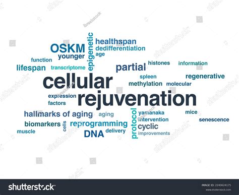 Image result for Reprogramming and Rejuvenation