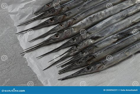 Needle Nose Flying Fish