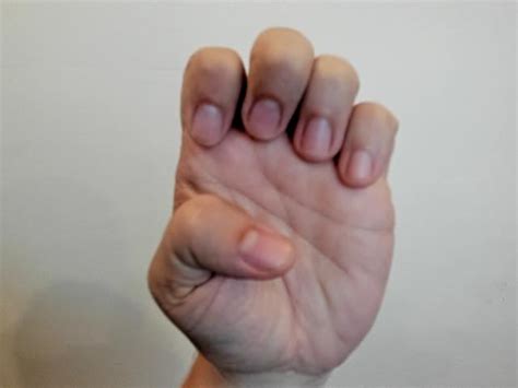 Europe in Sign Language 的图像结果