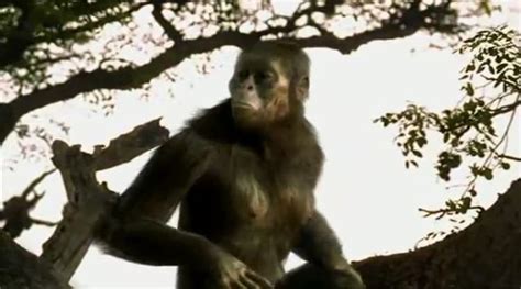 Australopithecus Documentary 的图像结果