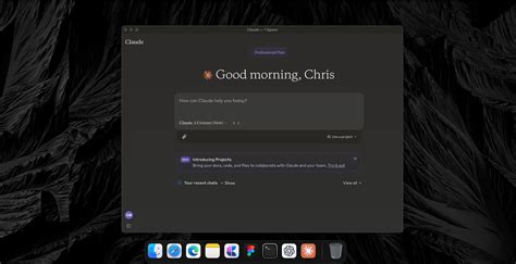 Image result for Computer Use Claude Streamlit