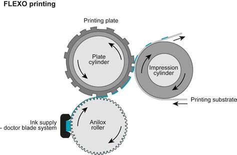 Flexography 101: The Flexo Printing Process Explained