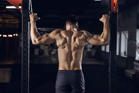 Five Fitness Components