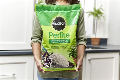 Buy Miracle-Gro Perlite, 8 qt Online at Lowest Price in India. B087H47V1V