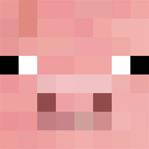 Pig Face | Minecraft characters, Minecraft pig face, Minecraft pig