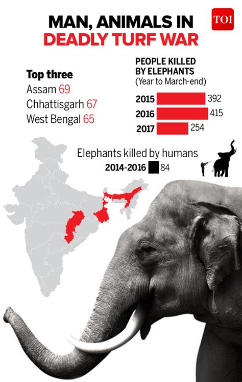 Human-elephant conflicts in India - they continue unabated